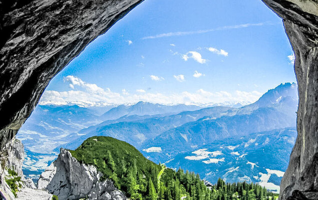 Edelweiss - Photo 17