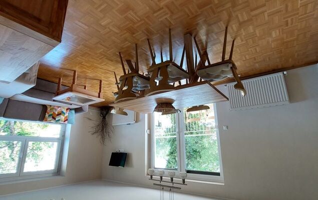 Löwenzahn - Photo 7