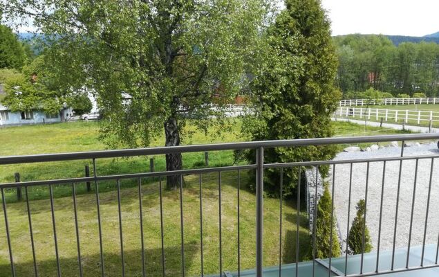 Löwenzahn - Photo 11