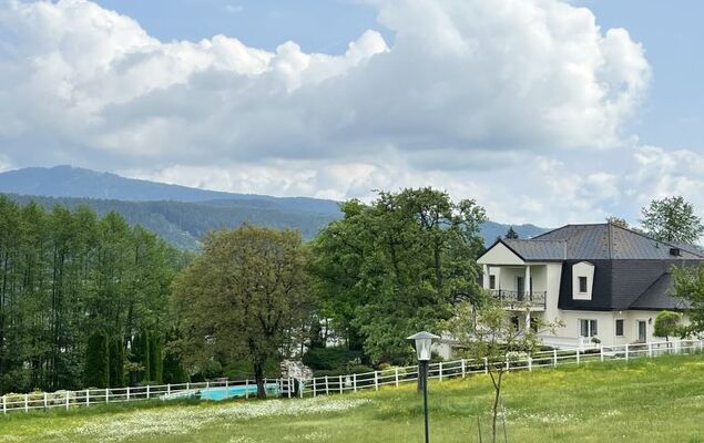 Löwenzahn - Photo 19