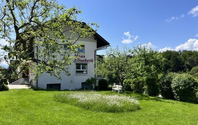 Löwenzahn - Photo 21