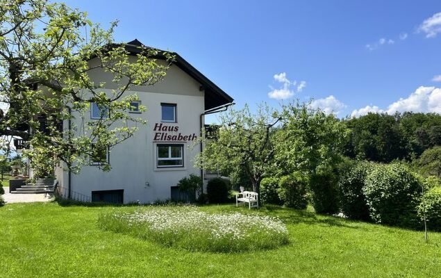 Löwenzahn - Photo 23