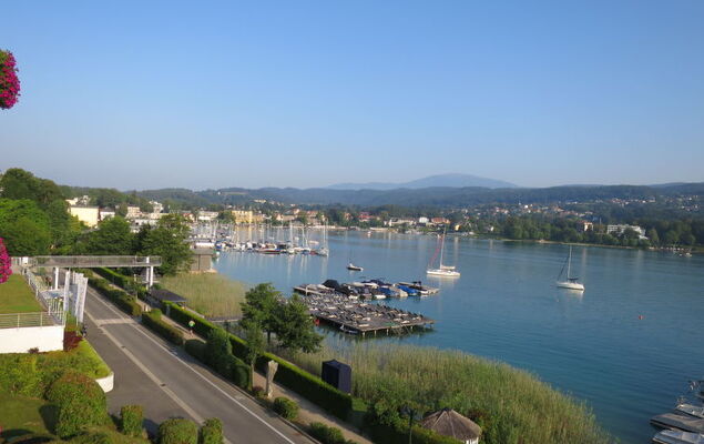 Löwenzahn - Photo 26