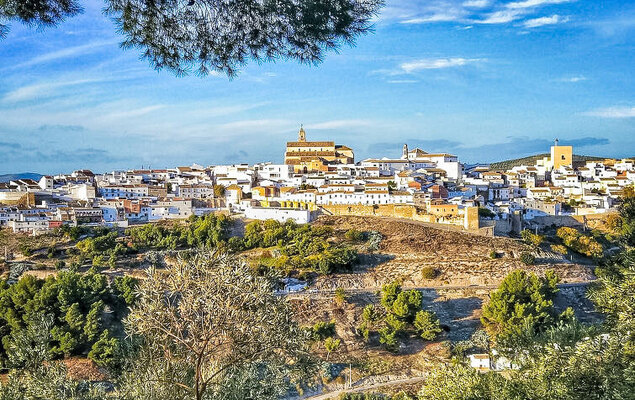 Torreon de Morayma - Photo 35