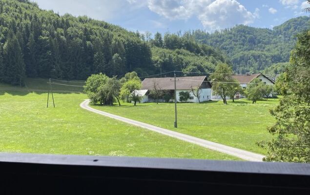 Hasenstall / Top 8 - Photo 30