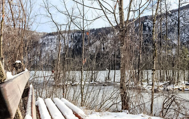 Hasenstall / Top 8 - Photo 37