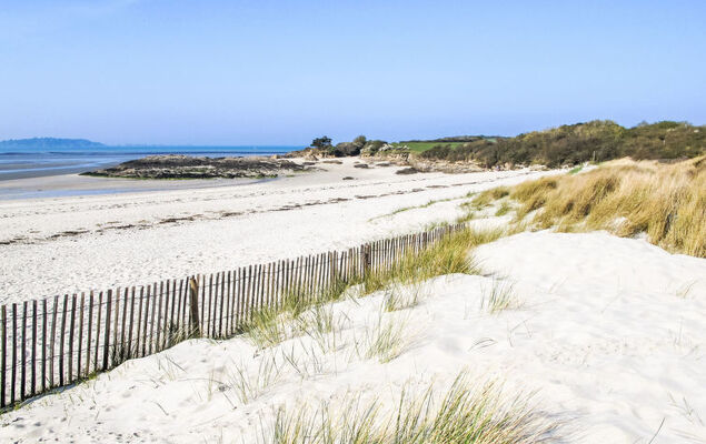 Les Agapanthes - Photo 43