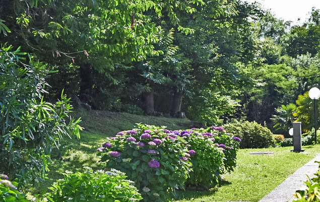 La Romantica - Photo 24