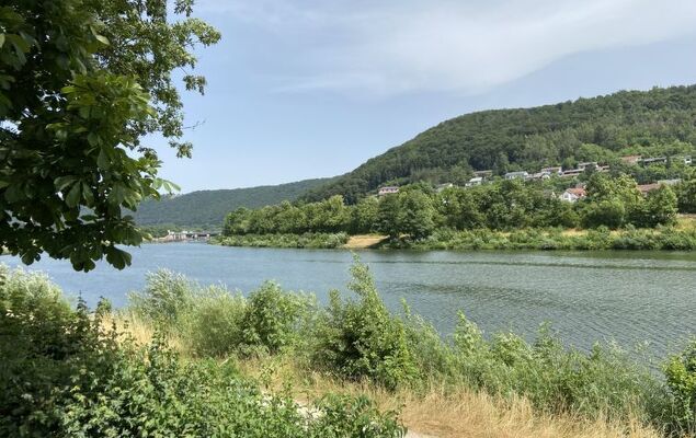 Tiny Haus Donaublick - Photo 19